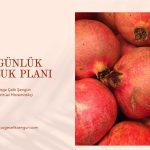 40 GÜNLÜK BOLLUK PLANI